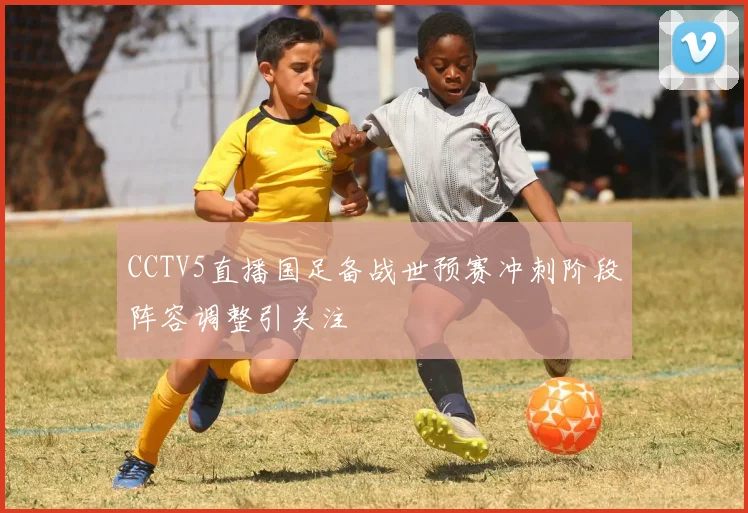 CCTV5直播国足备战世预赛冲刺阶段阵容调整引关注