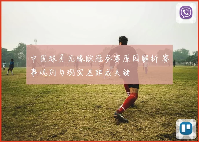 中国球员无缘欧冠参赛原因解析 赛事规则与现实差距成关键