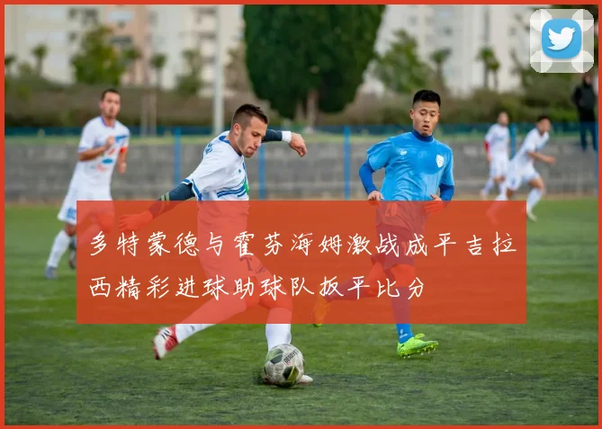多特蒙德与霍芬海姆激战成平吉拉西精彩进球助球队扳平比分
