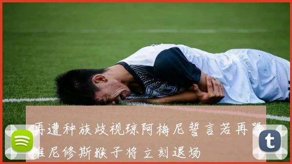 再遭种族歧视琼阿梅尼誓言若再骂维尼修斯猴子将立刻退场