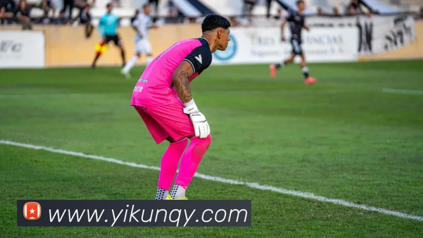 米兰app官方正版官网全站App